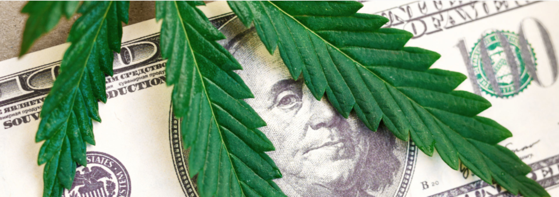 plant patents cannabis
