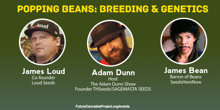 James Loud, Adam Dunn, James Bean, SeedsHereNow